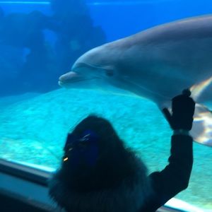 Meet your Posher, Samsamantha